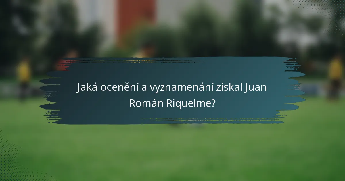 Jaká ocenění a vyznamenání získal Juan Román Riquelme?